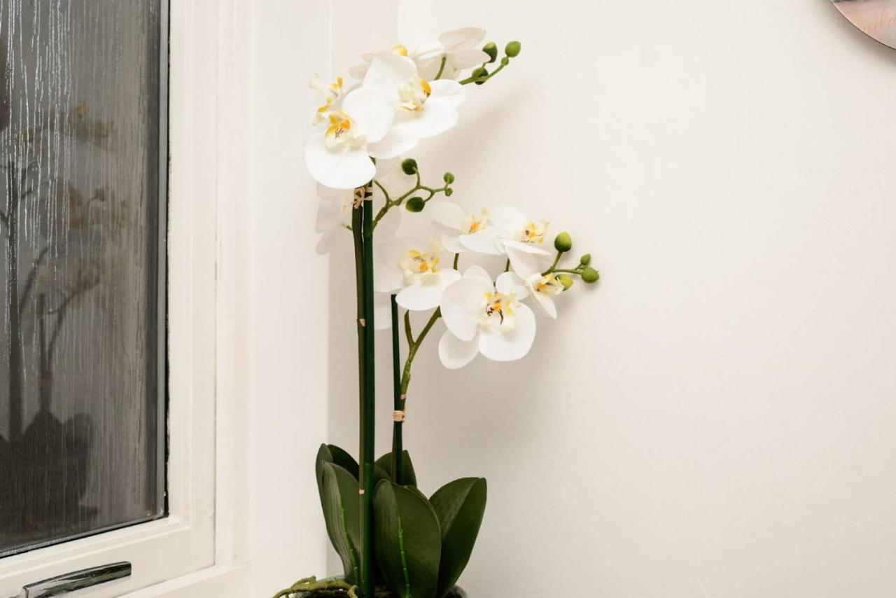 Altido Lovely Apartment For 4 With Free Parking Edinburgh Eksteriør billede